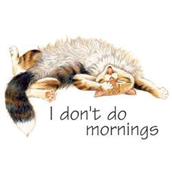 Cat I Don't Do Mornings White Gildan T-Shirts