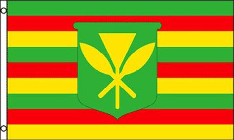 Hawaii 3x5 Foot Flag