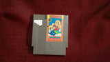 Kung Fu Heroes Used NES Video Game